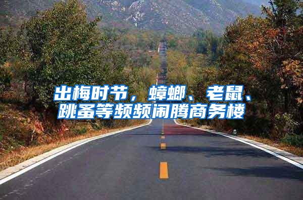出梅時節，蟑螂、老鼠、跳蚤等頻頻鬧騰商務樓