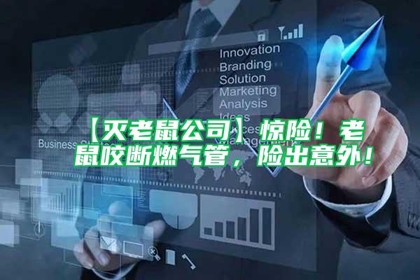 【滅老鼠公司】驚險(xiǎn)！老鼠咬斷燃?xì)夤埽U(xiǎn)出意外！