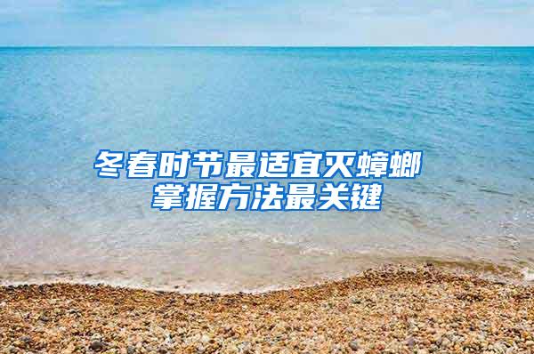 冬春時(shí)節(jié)最適宜滅蟑螂 掌握方法最關(guān)鍵