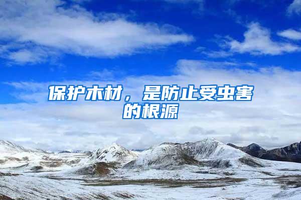 保護(hù)木材，是防止受蟲害的根源