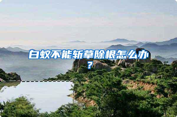 白蟻不能斬草除根怎么辦？