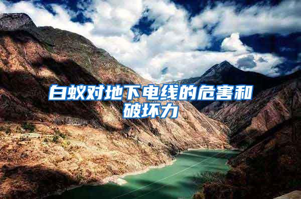 白蟻對(duì)地下電線的危害和破壞力