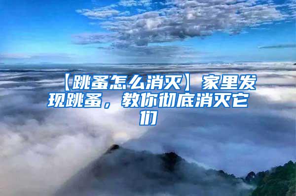 【跳蚤怎么消滅】家里發(fā)現(xiàn)跳蚤，教你徹底消滅它們