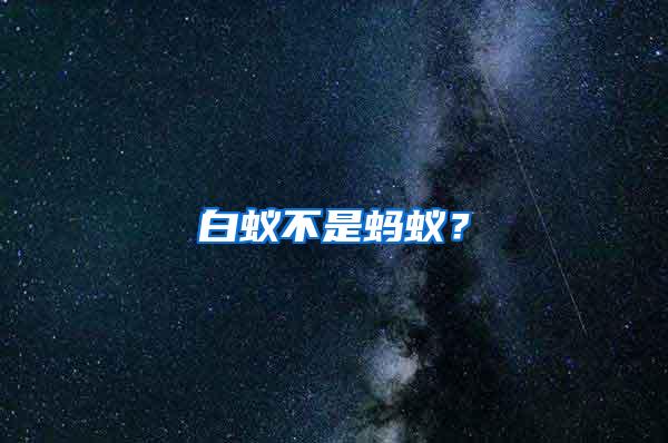 白蟻不是螞蟻？