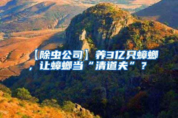 【除蟲公司】養3億只蟑螂，讓蟑螂當“清道夫”？