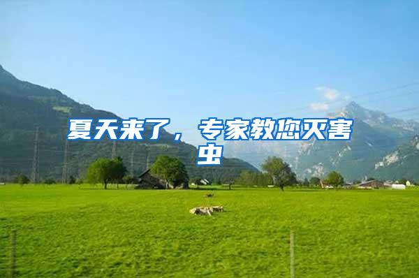 夏天來(lái)了，專家教您滅害蟲