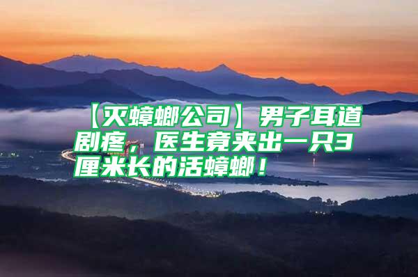 【滅蟑螂公司】男子耳道劇疼，醫(yī)生竟夾出一只3厘米長(zhǎng)的活蟑螂！