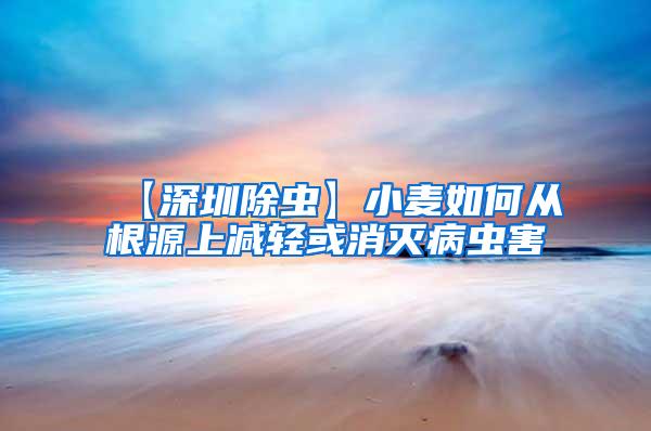 【深圳除蟲(chóng)】小麥如何從根源上減輕或消滅病蟲(chóng)害