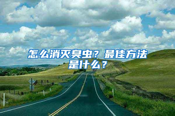 怎么消滅臭蟲？最佳方法是什么？
