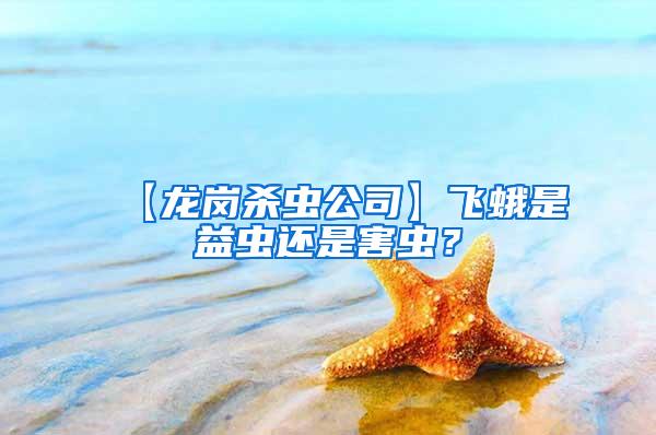 【龍崗殺蟲公司】飛蛾是益蟲還是害蟲？