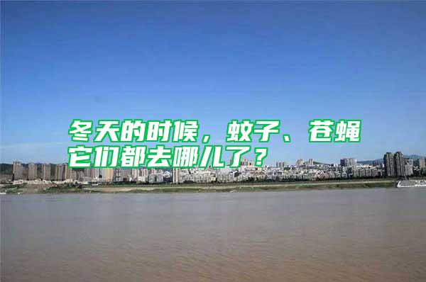 冬天的時候，蚊子、蒼蠅它們都去哪兒了？