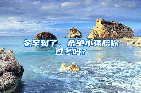 冬至到了，希望小強陪你過冬嗎？