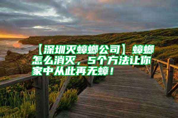 【深圳滅蟑螂公司】蟑螂怎么消滅，5個方法讓你家中從此再無蟑！