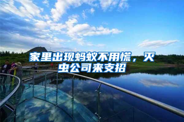 家里出現(xiàn)螞蟻不用慌，滅蟲公司來支招