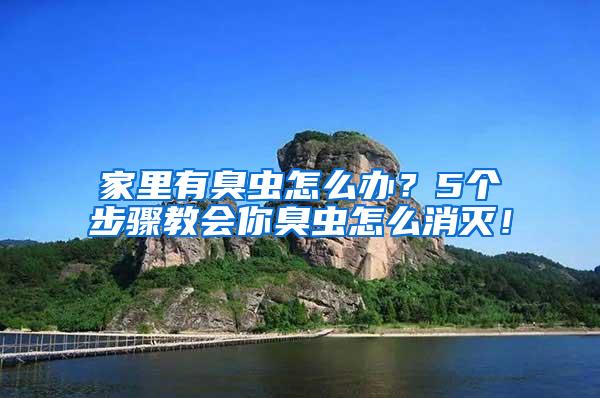 家里有臭蟲怎么辦？5個步驟教會你臭蟲怎么消滅！