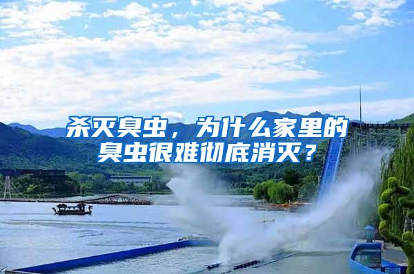 殺滅臭蟲，為什么家里的臭蟲很難徹底消滅？