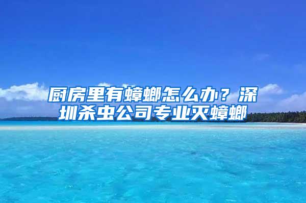 廚房里有蟑螂怎么辦？深圳殺蟲(chóng)公司專(zhuān)業(yè)滅蟑螂