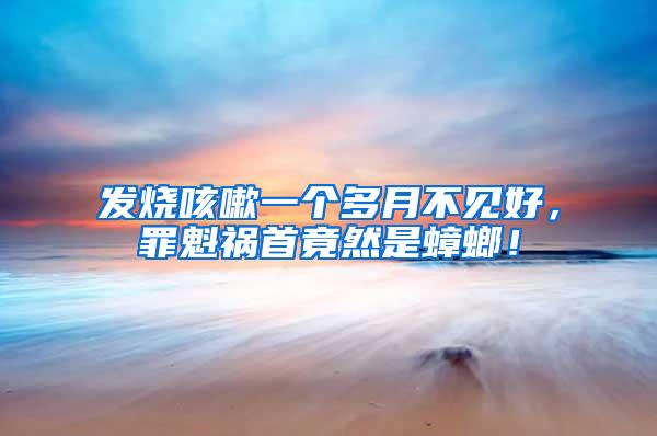 發(fā)燒咳嗽一個多月不見好，罪魁禍首竟然是蟑螂！