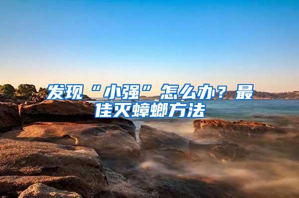 發(fā)現(xiàn)“小強(qiáng)”怎么辦？最佳滅蟑螂方法