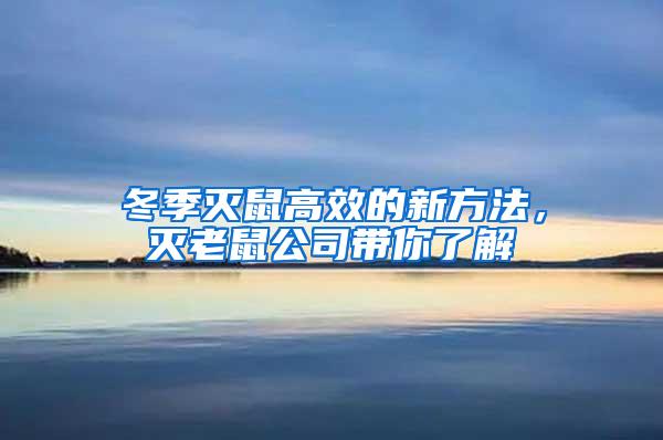 冬季滅鼠高效的新方法，滅老鼠公司帶你了解