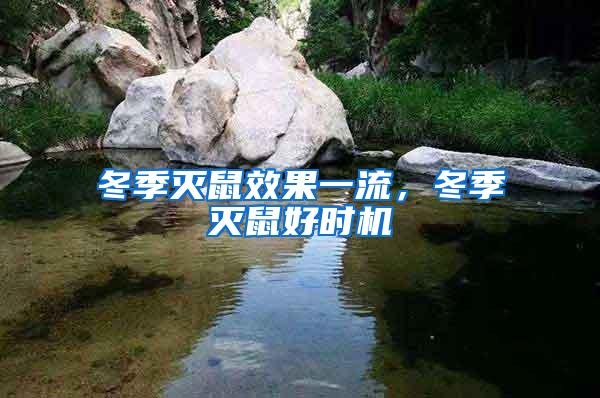 冬季滅鼠效果一流，冬季滅鼠好時機