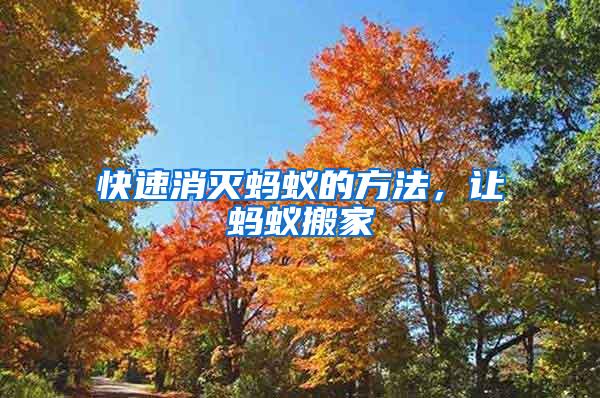 快速消滅螞蟻的方法，讓螞蟻搬家