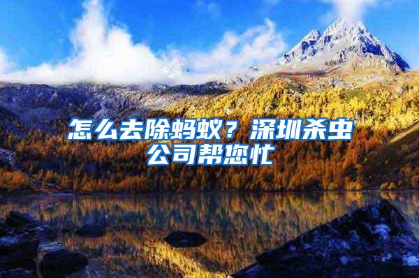 怎么去除螞蟻？深圳殺蟲公司幫您忙