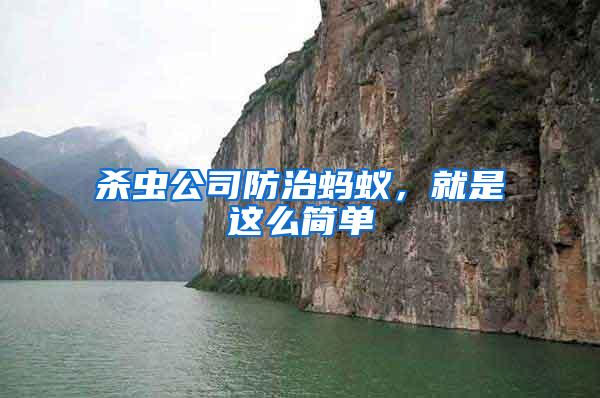 殺蟲公司防治螞蟻，就是這么簡單