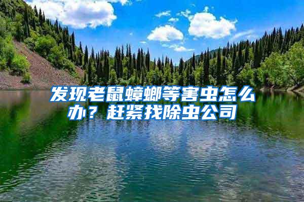 發(fā)現(xiàn)老鼠蟑螂等害蟲(chóng)怎么辦？趕緊找除蟲(chóng)公司