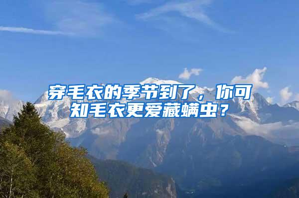 穿毛衣的季節(jié)到了，你可知毛衣更愛藏螨蟲？