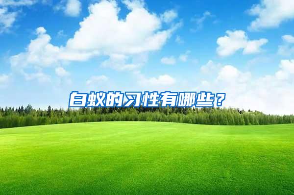白蟻的習性有哪些？