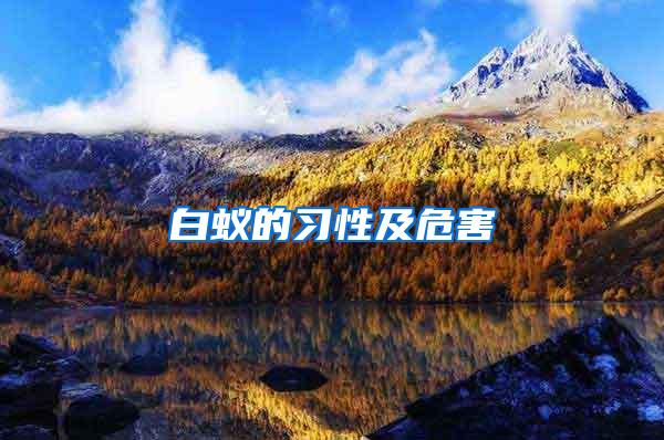 白蟻的習(xí)性及危害