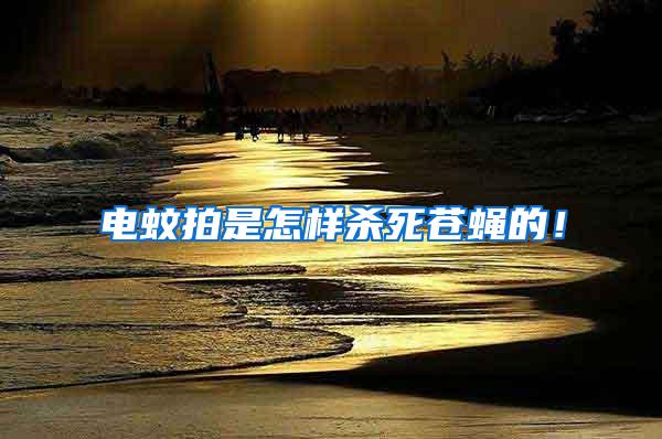 電蚊拍是怎樣殺死蒼蠅的！
