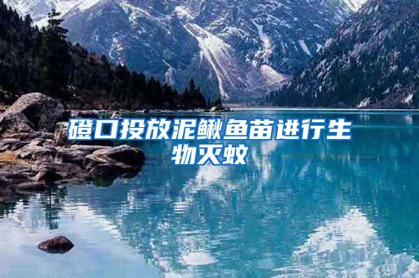 磴口投放泥鰍魚(yú)苗進(jìn)行生物滅蚊