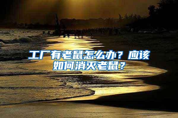 工廠有老鼠怎么辦？應(yīng)該如何消滅老鼠？