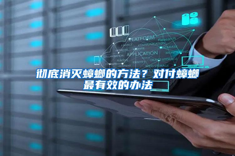 徹底消滅蟑螂的方法？對付蟑螂最有效的辦法