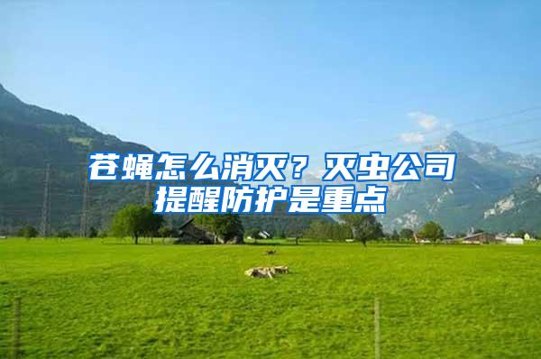 蒼蠅怎么消滅？滅蟲公司提醒防護是重點