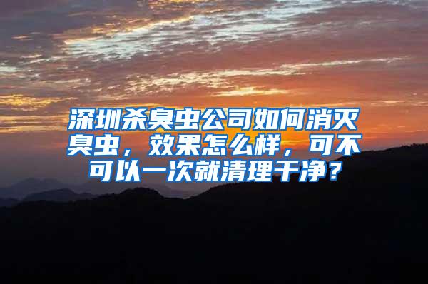 深圳殺臭蟲公司如何消滅臭蟲，效果怎么樣，可不可以一次就清理干凈？