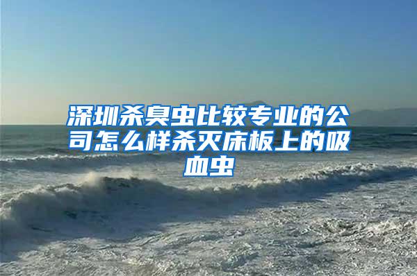 深圳殺臭蟲(chóng)比較專(zhuān)業(yè)的公司怎么樣殺滅床板上的吸血蟲(chóng)