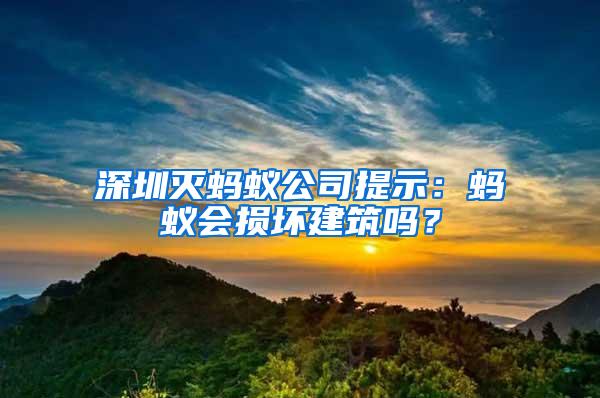 深圳滅螞蟻公司提示：螞蟻會損壞建筑嗎？