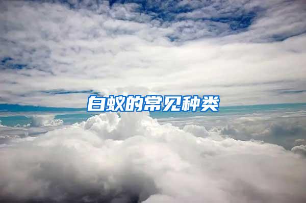 白蟻的常見(jiàn)種類(lèi)