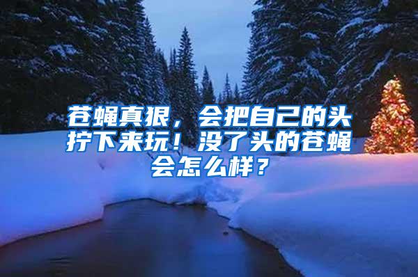 蒼蠅真狠，會(huì)把自己的頭擰下來玩！沒了頭的蒼蠅會(huì)怎么樣？