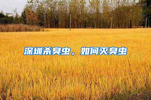 深圳殺臭蟲，如何滅臭蟲