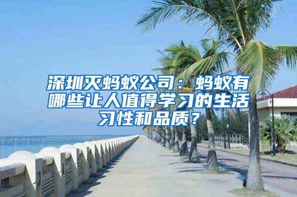 深圳滅螞蟻公司：螞蟻有哪些讓人值得學(xué)習(xí)的生活習(xí)性和品質(zhì)？