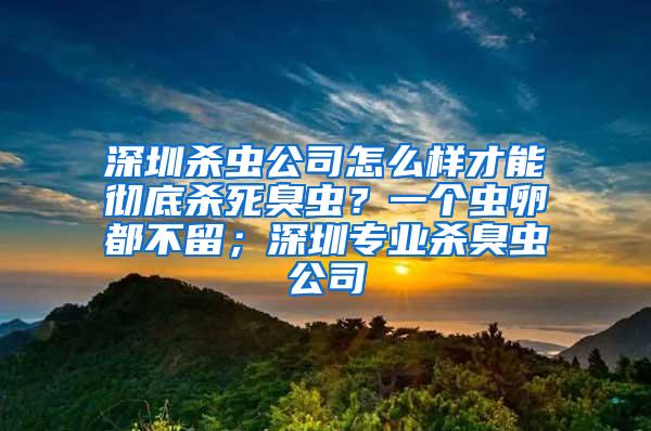 深圳殺蟲(chóng)公司怎么樣才能徹底殺死臭蟲(chóng)？一個(gè)蟲(chóng)卵都不留；深圳專業(yè)殺臭蟲(chóng)公司