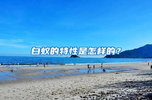 白蟻的特性是怎樣的？