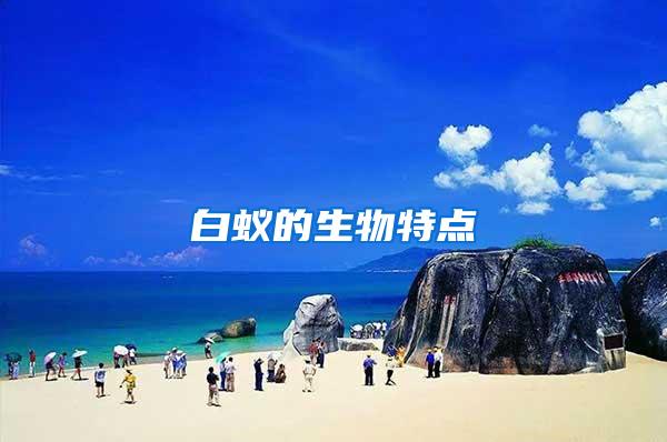 白蟻的生物特點(diǎn)