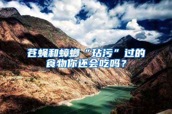 蒼蠅和蟑螂“玷污”過的食物你還會吃嗎？