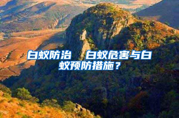 白蟻防治  白蟻危害與白蟻預(yù)防措施？