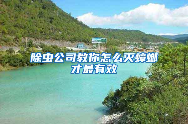 除蟲(chóng)公司教你怎么滅蟑螂才最有效